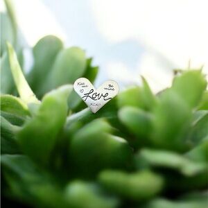 Origami owl heart plate